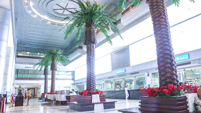 胃癌的饮食如何安排 这三类食物要多吃