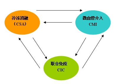“CCC”模式治癌症
