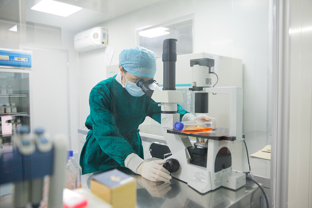 生物治疗室培养