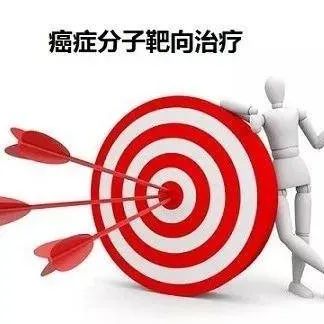 靶向治疗免疫治疗